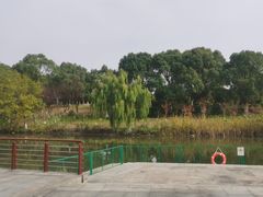 -江滩湿地公园
