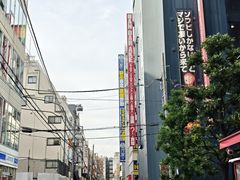 -秋叶原电器街
