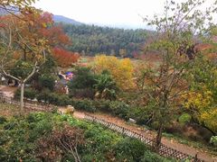 -塔川景区