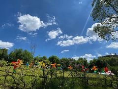 -泉州海丝野生动物世界
