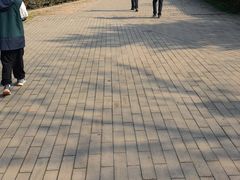 -秦始皇帝陵博物院-丽山园