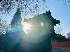 -白云观