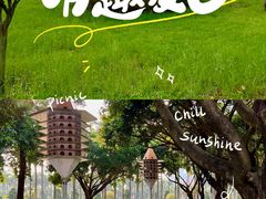 -顺峰山公园