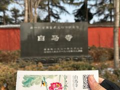 -洛阳白马寺