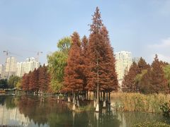 -白塘生态植物园