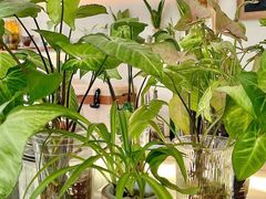 -绿小院(荔湾店)
