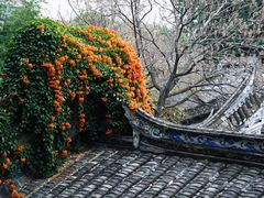 -乌山风景区