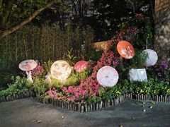 -广州市白云山风景名胜区