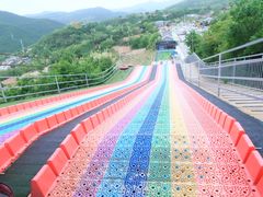 -铜川市金锁关石林