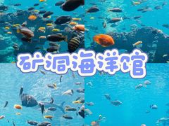 -长鹿旅游休博园