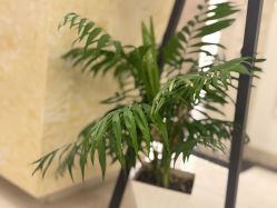 -香秀空间科技抗衰·美容中心