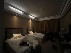 -金水鹤温泉国际酒店