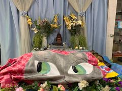 -彩虹桥宠物火化殡葬善终服务(金乐大厦店)