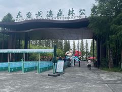 -黄海国家森林公园