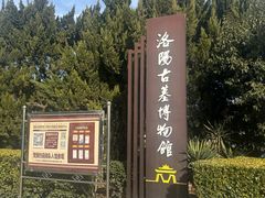 -洛阳古墓博物馆
