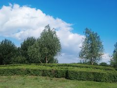 -蒲河岛湿地公园