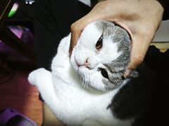 -椰庭·椰子鸡·创意玩家(晶耀前滩店)
