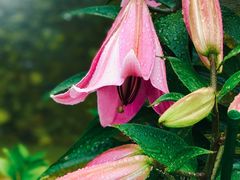 -南紀白浜 浜千鳥の湯 海舟