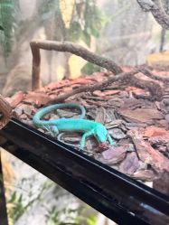 -Zoolung Zoolung动物主题公园(海信广场店)