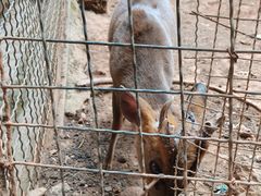 -昆明动物园