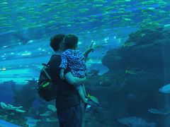 -成都浩海立方海洋公园