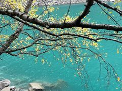 -叠溪松坪沟景区