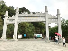 -羚羊峡古栈道森林公园