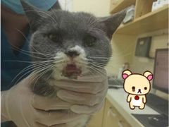 -芭比堂动物医院广州顽皮分院