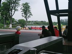 -上海长兴岛郊野公园