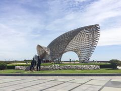 -南汇嘴观海公园