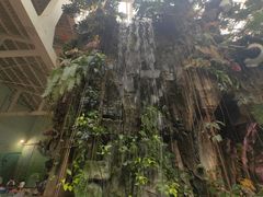 -正佳雨林生态植物园