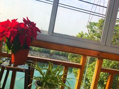 -小陆莲花蟹园农家乐(莲花岛店)