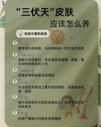点击看大图 -玛莲朵·海菲秀冰珀科