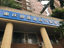 -碧莲盛·不剃发植发