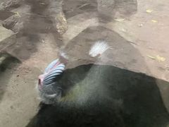 -长鹿旅游休博园