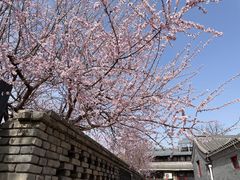 -三里河公园