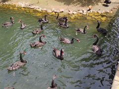 -长白岛森林公园