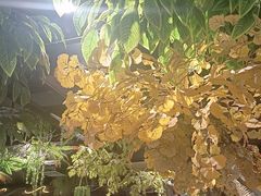 -城墙拐拐火锅(三峡广场黑金冠店)