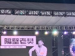-台儿庄古城