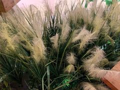 -符离集餐厅(万象城店)