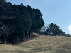-神户市立六甲山牧场