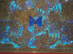 -上海昆虫博物馆