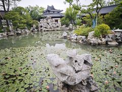 -江心屿景区