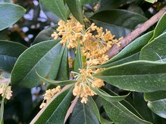 -舟山希尔顿酒店