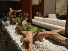 -碧桂园润杨溪谷温泉酒店
