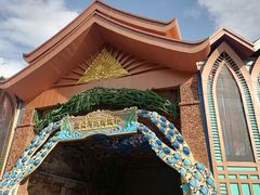 -西双版纳原始森林公园