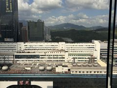 -深圳富临大酒店