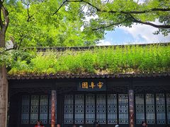 -莲花池公园