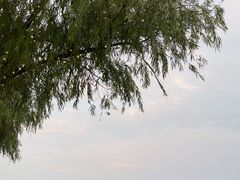 -迪士尼小镇
