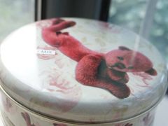 4MIX-珍妮曲奇聪明小熊(尖沙咀店)